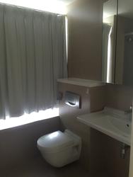 The Ford @ Holland (D10), Condominium #67556632